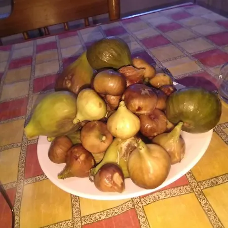 Kuca Za Odmor Panorama Lohovo Lejlighed