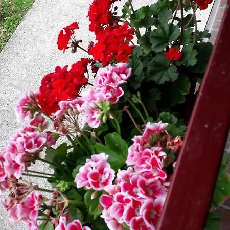 Apartament Kuca Za Odmor Panorama Lohovo *