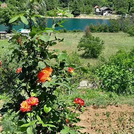 Lägenhet Kuca Za Odmor Panorama Lohovo Bihać