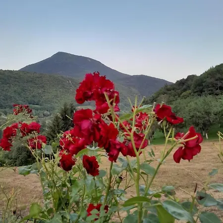 Kuca Za Odmor Panorama Lohovo Bihac