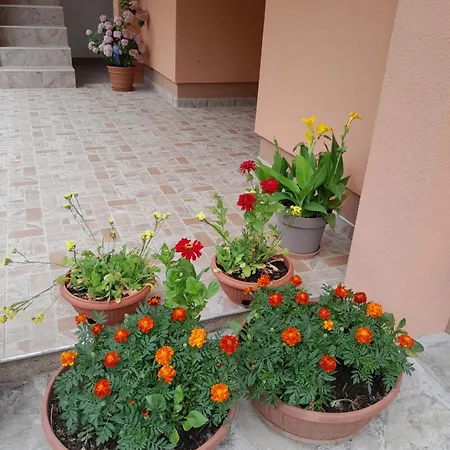 Apartment Kuca Za Odmor Panorama Lohovo *