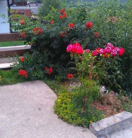 Kuca Za Odmor Panorama Lohovo Lejlighed