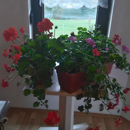 Apartament Kuca Za Odmor Panorama Lohovo *