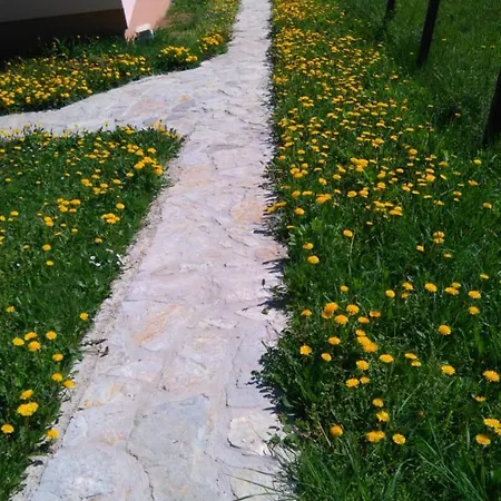 Apartament Kuca Za Odmor Panorama Lohovo